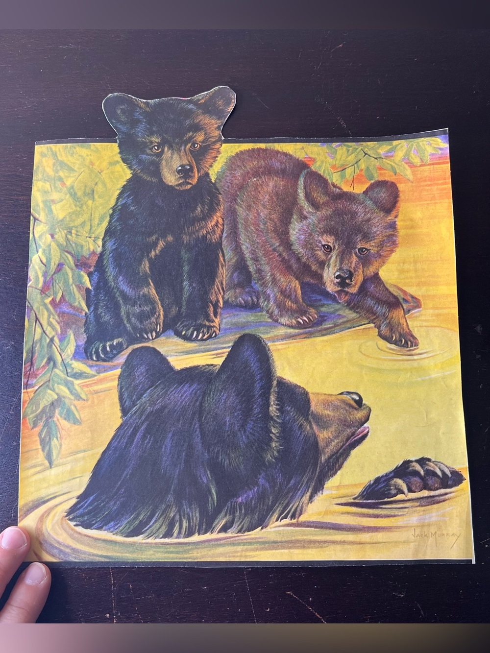 Vintage 1941 Jack Murray Bear Cubs River Magazine Cutout